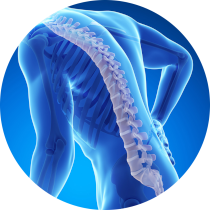 farmacie-treviso-densitometria