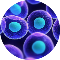 farmacie-treviso-omega-test